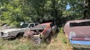 massive junkyard/collection in Arkansas