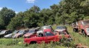 massive junkyard/collection in Arkansas