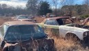 Oklahoma junkyard with more than 1,000 cars