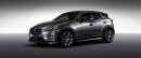 2017 Mazda CX-3 Custom Style