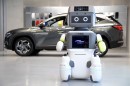 Hyundai DAL-e advanced humanoid customer service robot