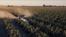 Mini GUSS autonomous sprayer for high-density orchards and vineyards