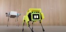 Mini Pupper robot dog