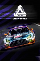 Mercedes-AMG Palace X AMG Collection official introduction