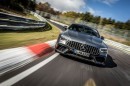 2021 Mercedes-AMG GT 63 S 4Matic+ Nurburgring photo