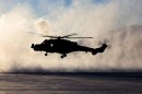 Wildcats and Merlins battle the harsh conditions of the Arctic