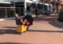 The leaf blower-powered mop bucket, the most Florida micromobility solution