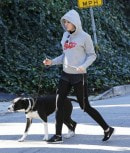 Miley Cyrus uses her Porsche Cayenne GTS to walk the dog