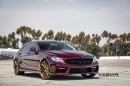 Misha Designs Mercedes-Benz CLS-Class