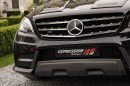 Mercedes-Benz ML 63 AMG by Expression Motorsport