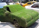 Moss Car