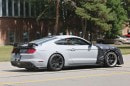 Possible 2019 Shelby GT500 Mustang test mule