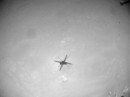 On July 5th, the little helicopter broke its own speed record on Mars