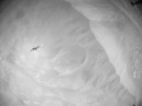 NASA Ingenuity helicopter aces Flight 22 on Mars