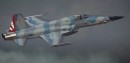 F-5N aggressor aircraft