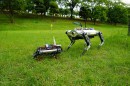 Robot Dogs