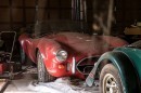 The Ferrari, the Cobra, and the crickets in the garage