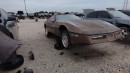 1984 Corvette in the graveyard
