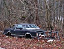 Ford Abandoned in Pike County OH