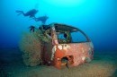 Car Reefs