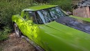 1978 Chevrolet Corvette barn find