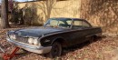 1960 Ford Starliner barn find
