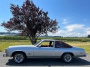 1978 Pontiac Phoenix