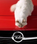 Opel Corsa Calendar Has Karl Lagerfeld’s Famous Choupette as a Model