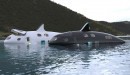 Orca Civilian Submarines