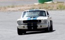 Original Venice Crew IRS 1965 Shelby GT350R Competition