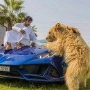 Arab Sheik has some fun with his bear cub and it involves expensive cars