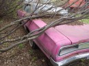 Panther Pink 1970 Dodge Coronet