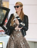 Paris Hilton Goes Shopping With Her Lexus LFA