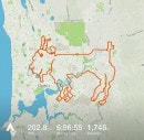 Cyclists draw goat on map with cycling app Strava