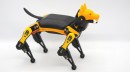 Bittle Robotic Dog