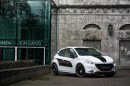 Peugeot 208 Tuning by Musketier