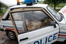 Police Car Becomes Chicken Coop