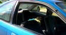 Honda Civic Coupe with broken window - see back seat for wig