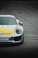 Porsche Le Mans Living Legend Concept (2016)