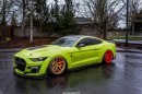 World's First Bagged 2020 Shelby GT500