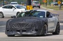 Possible 2019 Shelby GT500 Mustang test mule