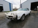 The Pontiac Hoard is the latest impressive barn find in Kansas, including more than 20 Pontiacs, hundreds of parts