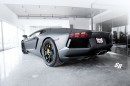 Lamborghini Aventador Project Eternal