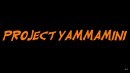 Yamaha R1 engine inside classic Mini - Project YammaMini