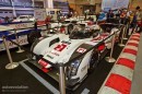 Racecars at Essen 2014: Audi Le Mans racer