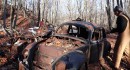 Abandoned 1956 VW Beetle