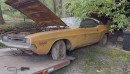 1971 Dodge Challenger barn find