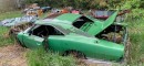 This Sunroof 1969 Dodge Charger Was Abandoned