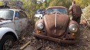 abandoned 1955 Volkswagen Beetle