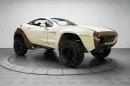 Ray Everham's Rally Fighter for sale